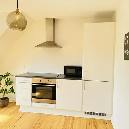 Aday - 1 Bedroom Balcony On The Pedestrian Street In Apartment Randers
