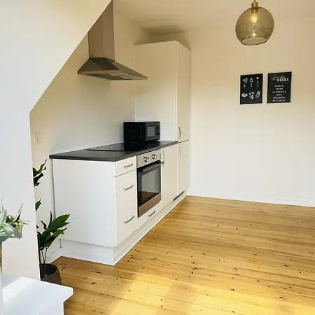 Aday - 1 Bedroom Balcony On The Pedestrian Street In * Randers